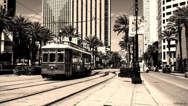 Canal Street – New Orleans